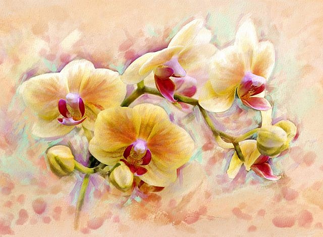 Фотопанно Орхидея живопись, размер 200x147 (300)