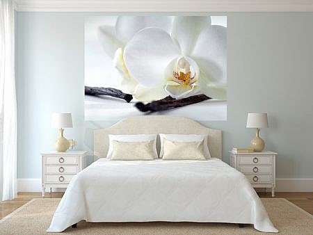 Фотопанно Орхидея и ваниль, размер 200x147 (321)