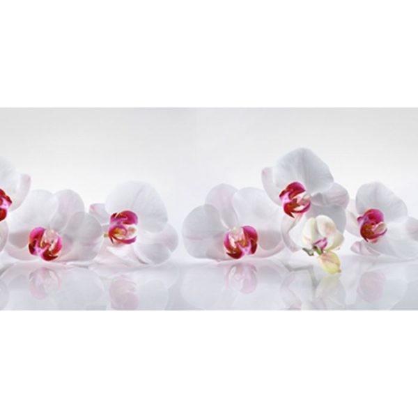 Фартук кухонный пластиковый 3 метра Орхидеи 2041 (Фотопечать) ПП