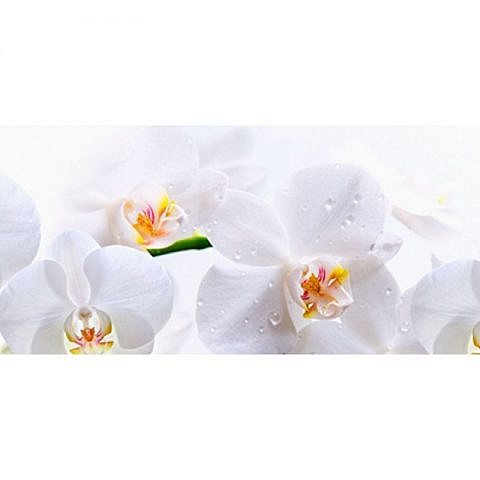 Фартук кухонный МДФ 2,8х0,6 метра Белые орхидеи 245