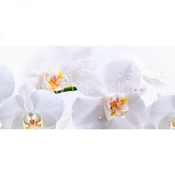 Фартук кухонный МДФ 2,8х0,6 метра Белые орхидеи 245