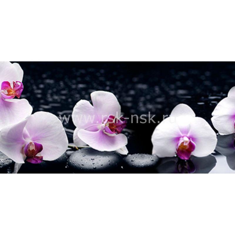 Фартук Кухни Фото Орхидея