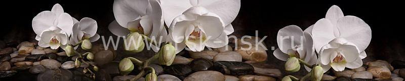 Фартук кухонный МДФ 2,8х0,6 метра Белые орхидеи на камнях 3036
