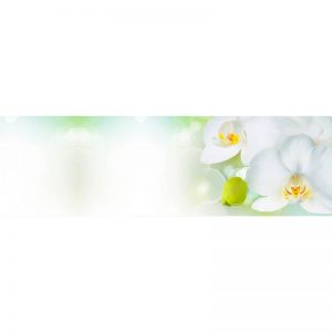 Фартук кухонный МДФ 2,8х0,6 метра Белые орхидеи 014