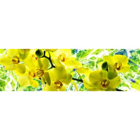 Фартук кухонный пластиковый 3х0,6 метра Жёлтые орхидеи 8848