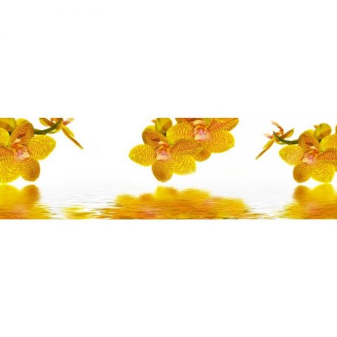 Фартук кухонный пластиковый 3х0,6 метра Жёлтые орхидеи 8997Фартук кухонный пластиковый 3х0,6 метра Жёлтые орхидеи 8997