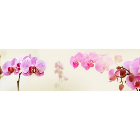 Фартук кухонный пластиковый 3х0,6 метра Розовые орхидеи 9237