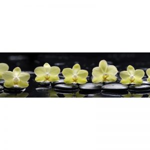 Фартук кухонный пластиковый 3х0,6 метра Жёлтые орхидеи 9243