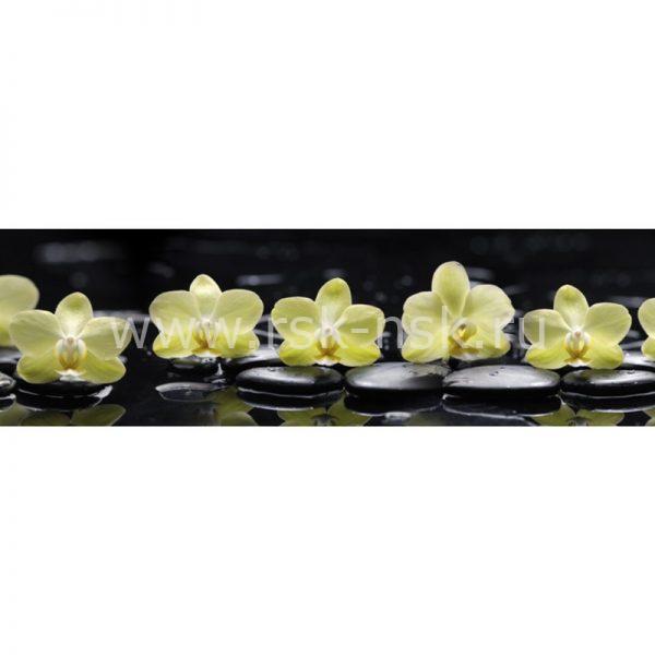 Фартук кухонный МДФ 2,8х0,6 метра Жёлтые орхидеи 9243