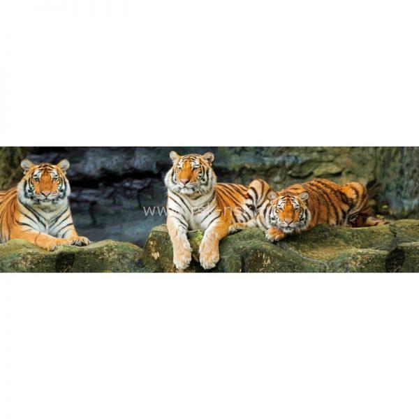 Фартук на основе ХДФ 2,44х0,6 м Тигры