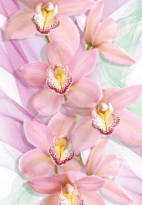 4л Орхидеи 194-136